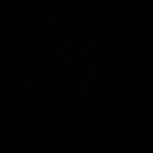 Meet your Posher, Jaden